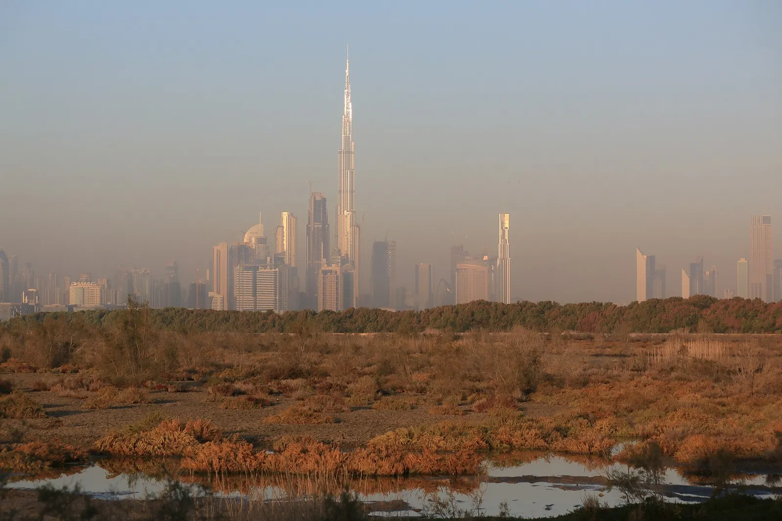 Dubai skyline with the Burj Khalifa seen from the Ras Al Khor wetlands